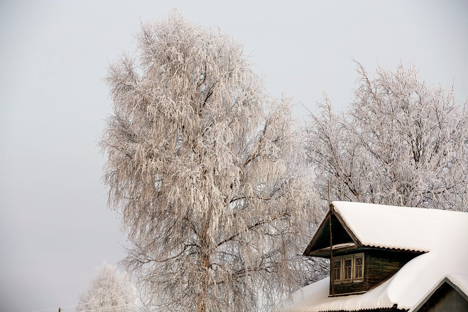 Атмосферные кадры Сергея Олюкова, сделанные в ноябре и декабре Атмосферные кадры Сергея Олюкова, сделанные в ноябре и декабре