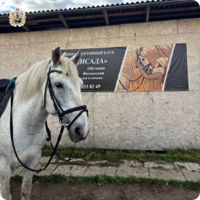 В Архангельске при поддержке Фонда президентских грантов развивается социальный проект для подростков