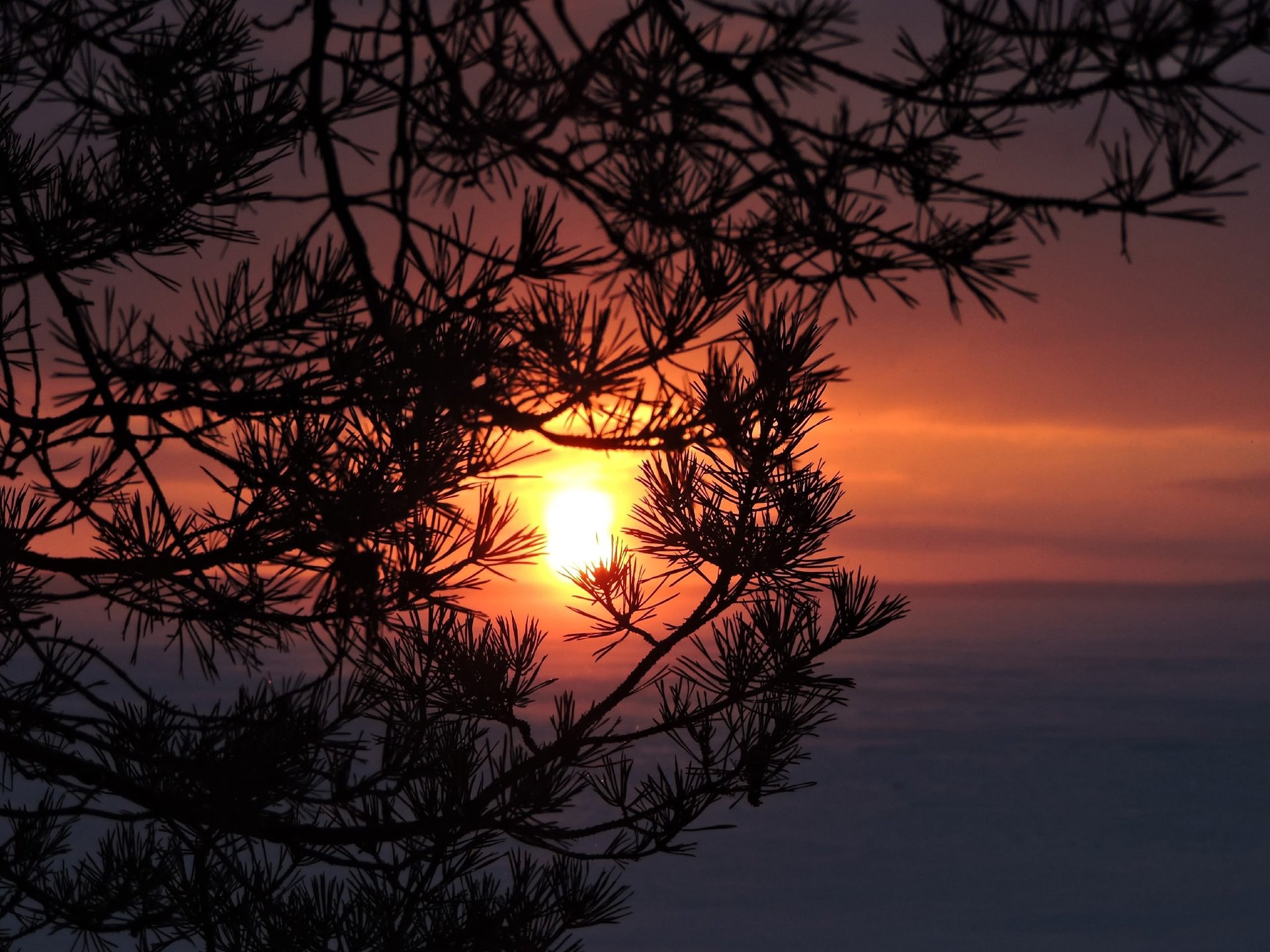 Огненный рассвет в Кенозерье Огненный рассвет в Кенозерье