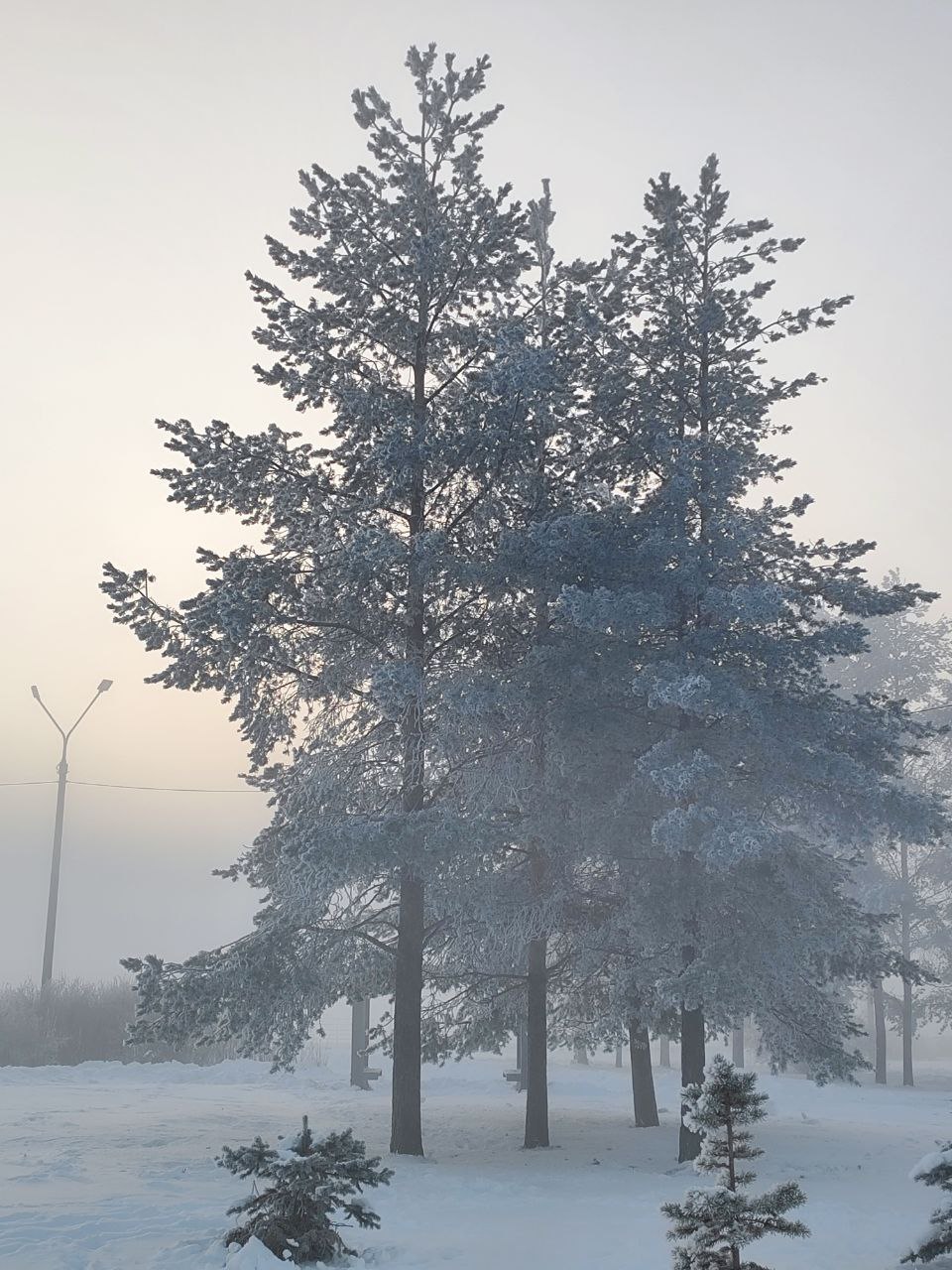 Морозные кадры Архангельска Морозные кадры Архангельска