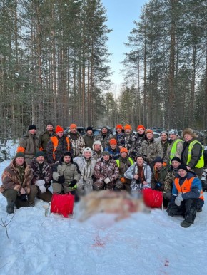 В Вельске началась охота на волков