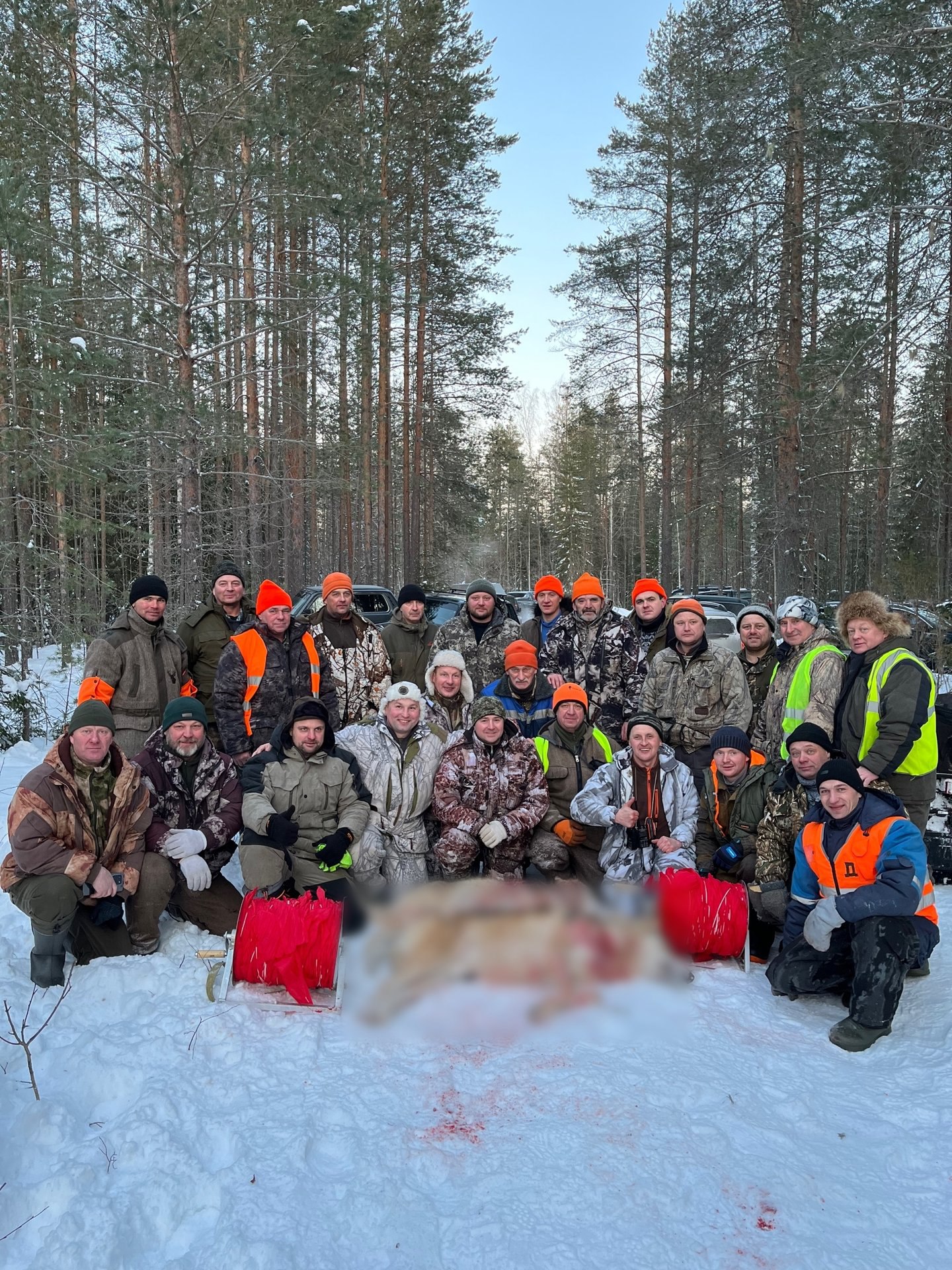 В Вельске началась охота на волков