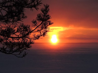 �������� ������� � ���������