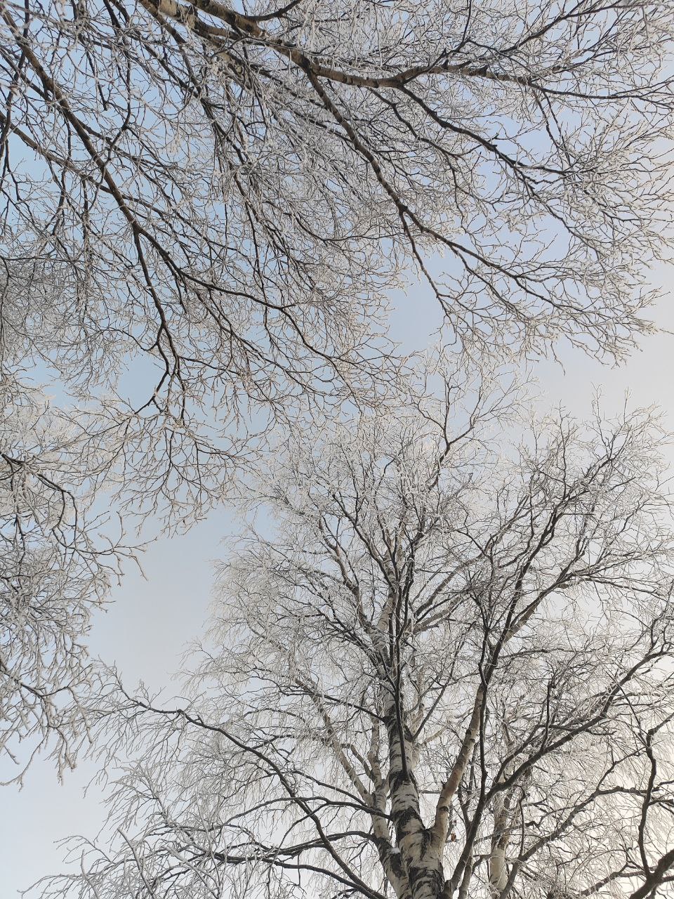 Морозные кадры Архангельска Морозные кадры Архангельска