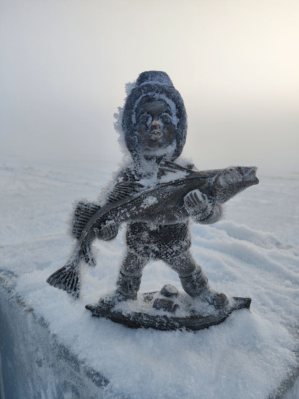 Морозные кадры Архангельска