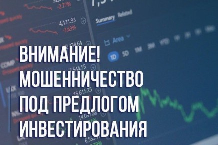 6.5 миллионов рублей перевели мошенникам отец и сын в Котласе