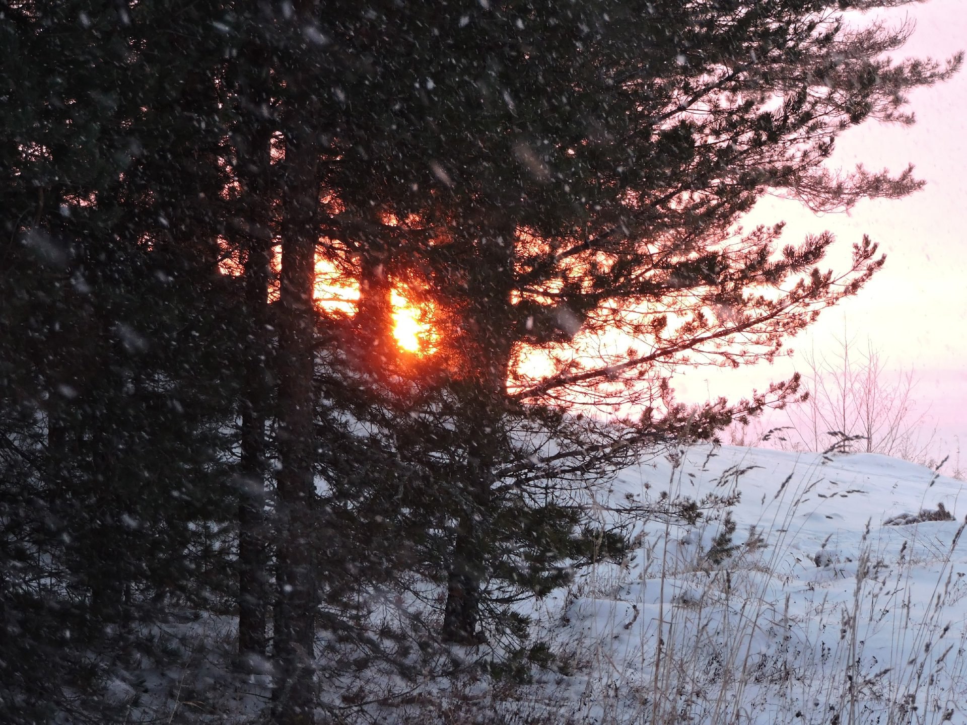 Огненный рассвет в Кенозерье Огненный рассвет в Кенозерье