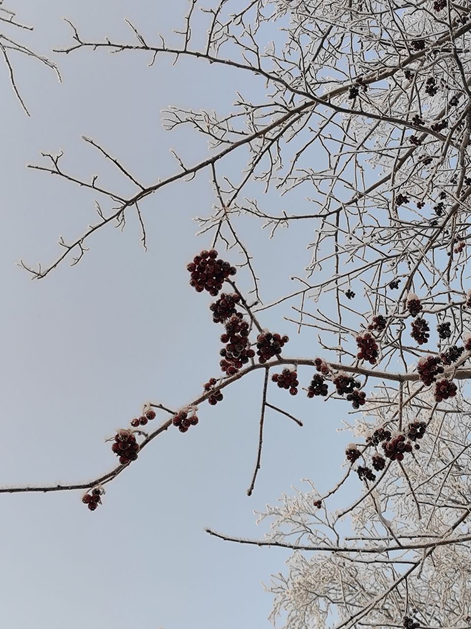 Морозные кадры Архангельска Морозные кадры Архангельска