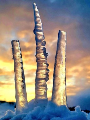 ����������� ����� ������� ������� ��������