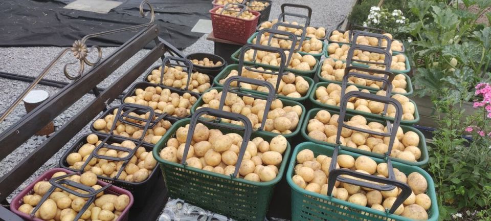 ��������� ������ ���������: ��� �����������, ����� ��������� ������?