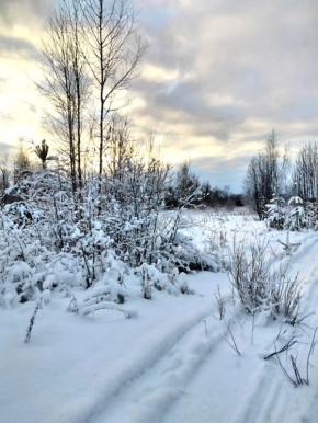 Сказочный зимний лес запечатлела Наталья Медведкова