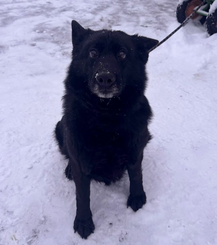 �������� ���� ���� ����� ���