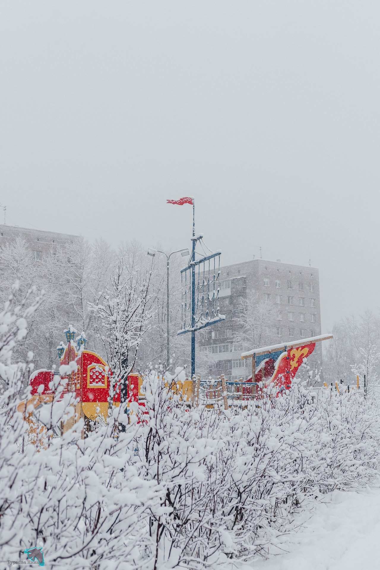 Снежно-нежную красоту запечатлела Нина Буркова Снежно-нежную красоту запечатлела Нина Буркова