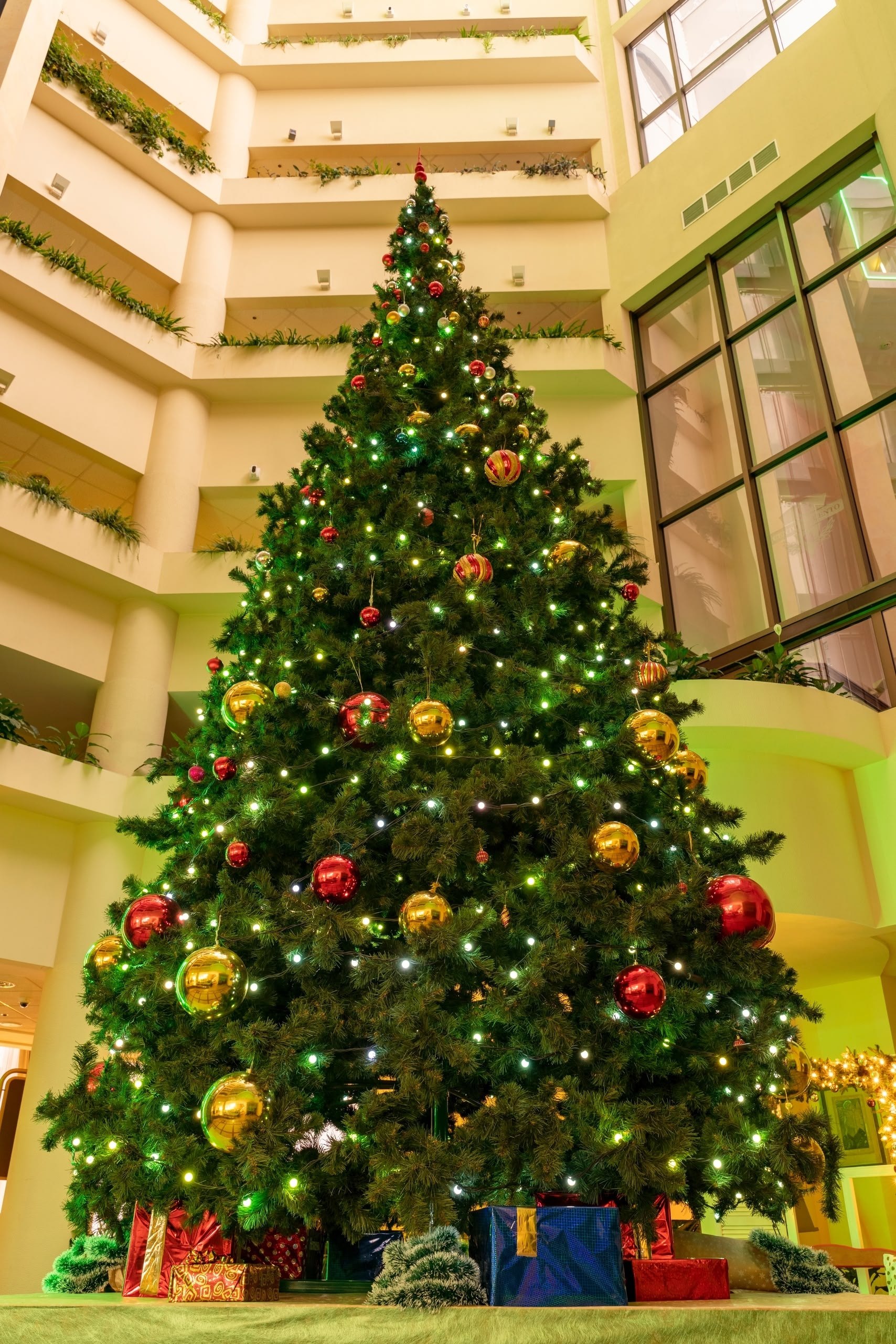 Турист-лабрадор и столичные путешественники: гостиницы Архангельска забронированы на праздники Турист-лабрадор и столичные путешественники: гостиницы Архангельска забронированы на праздники