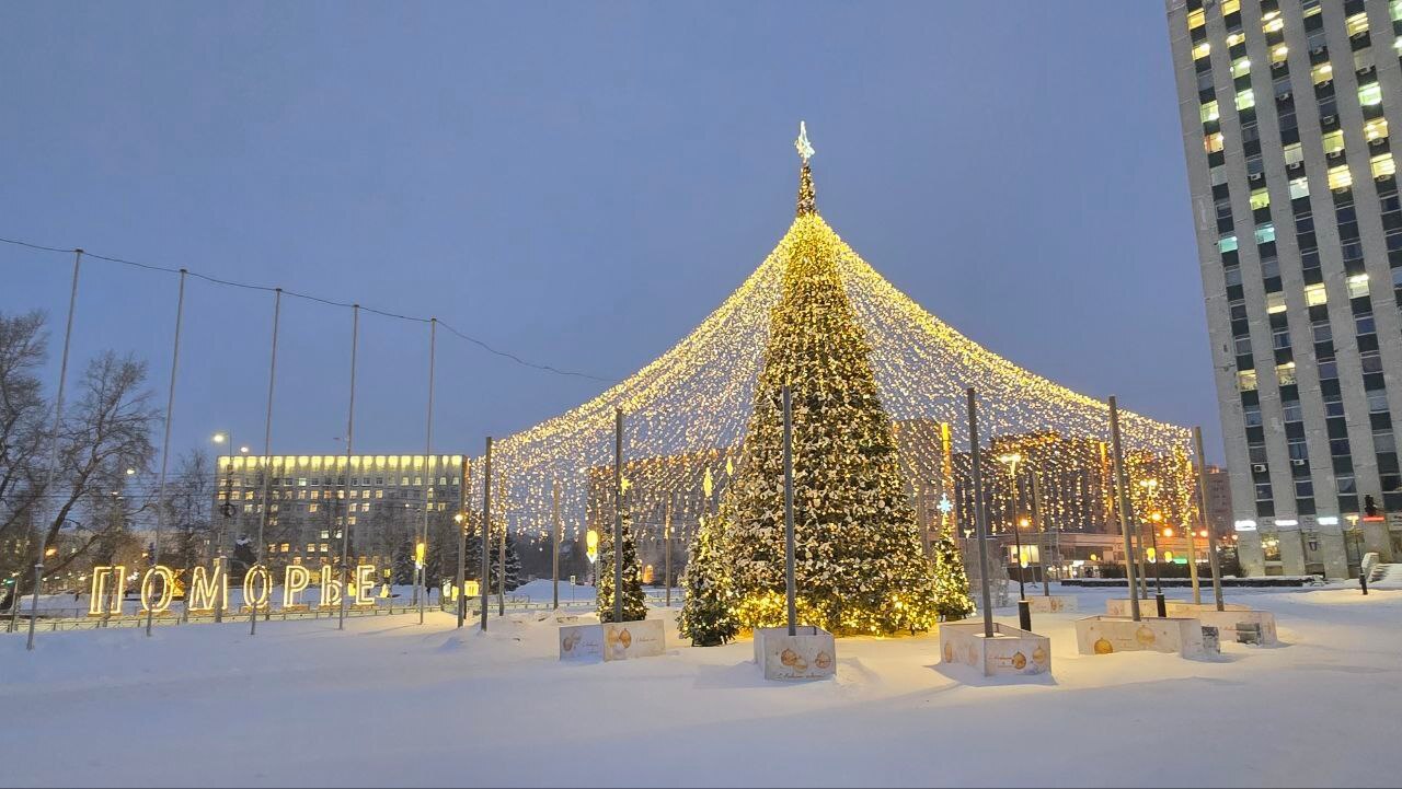 Новый год всё ближе! Город уже сияет праздничными огнями, повсюду стоят ёлки и яркие украшения Новый год всё ближе! Город уже сияет праздничными огнями, повсюду стоят ёлки и яркие украшения