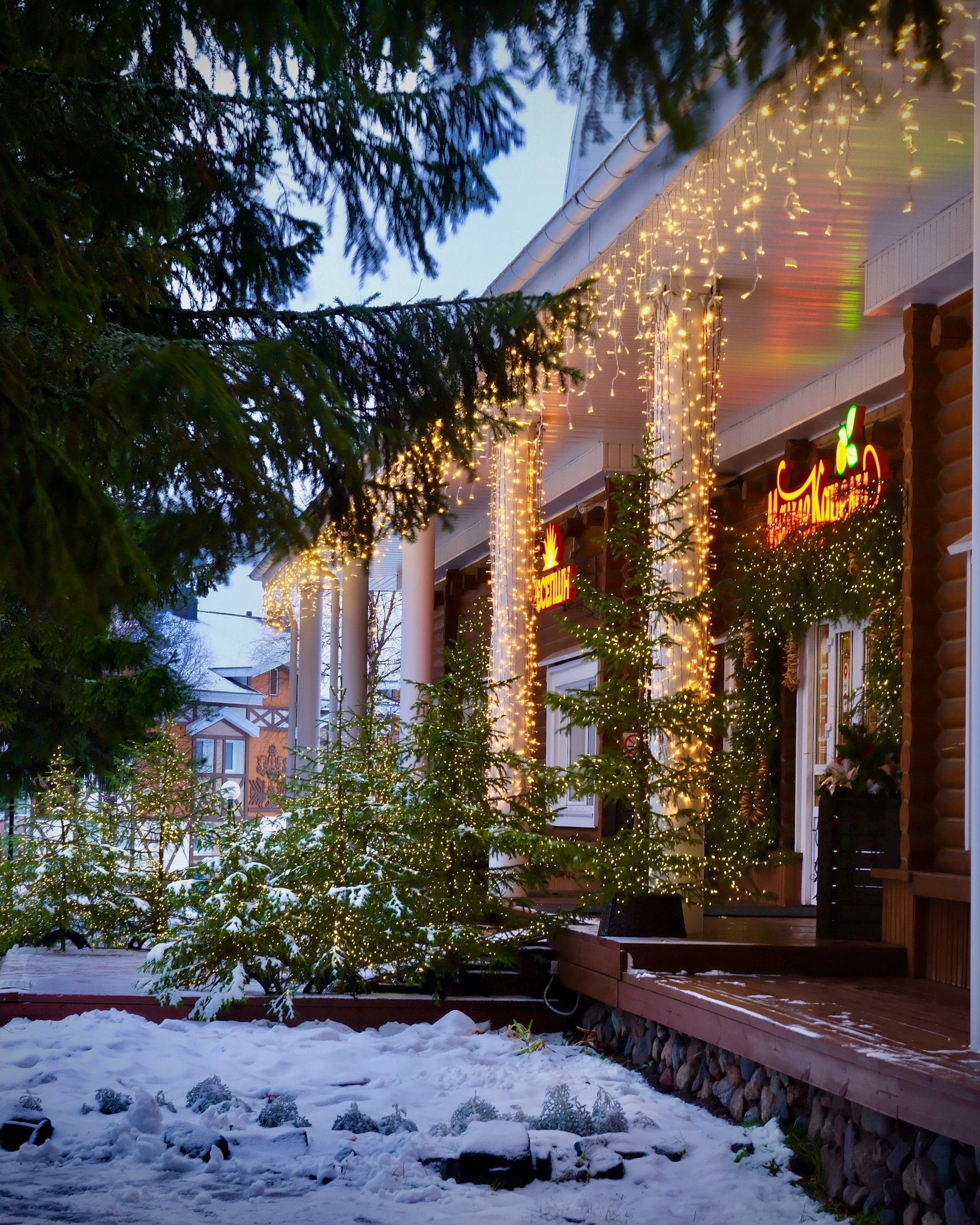 Турист-лабрадор и столичные путешественники: гостиницы Архангельска забронированы на праздники