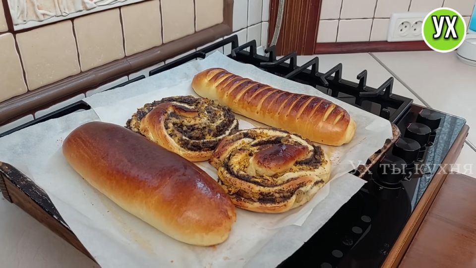 ����� �����: ��� ������� ������ � ������ � ����� ��������� ��� �����