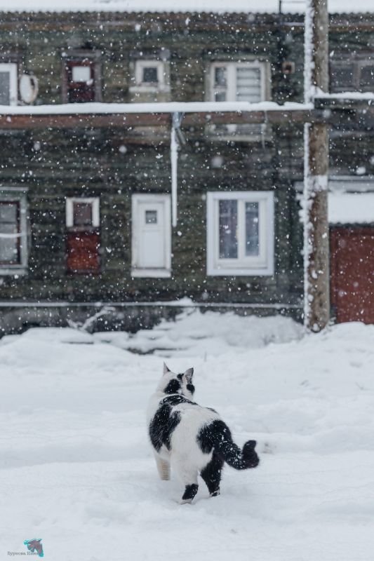 ������-������ ������� ����������� ���� �������