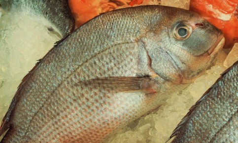 �������� ����� ��������� ������ ������ ������� ����