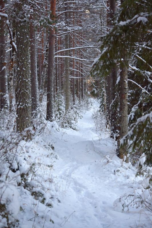 ������ ������ � ��������� ������ ���������