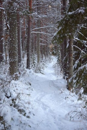 ������ ������ � ��������� ������ ���������