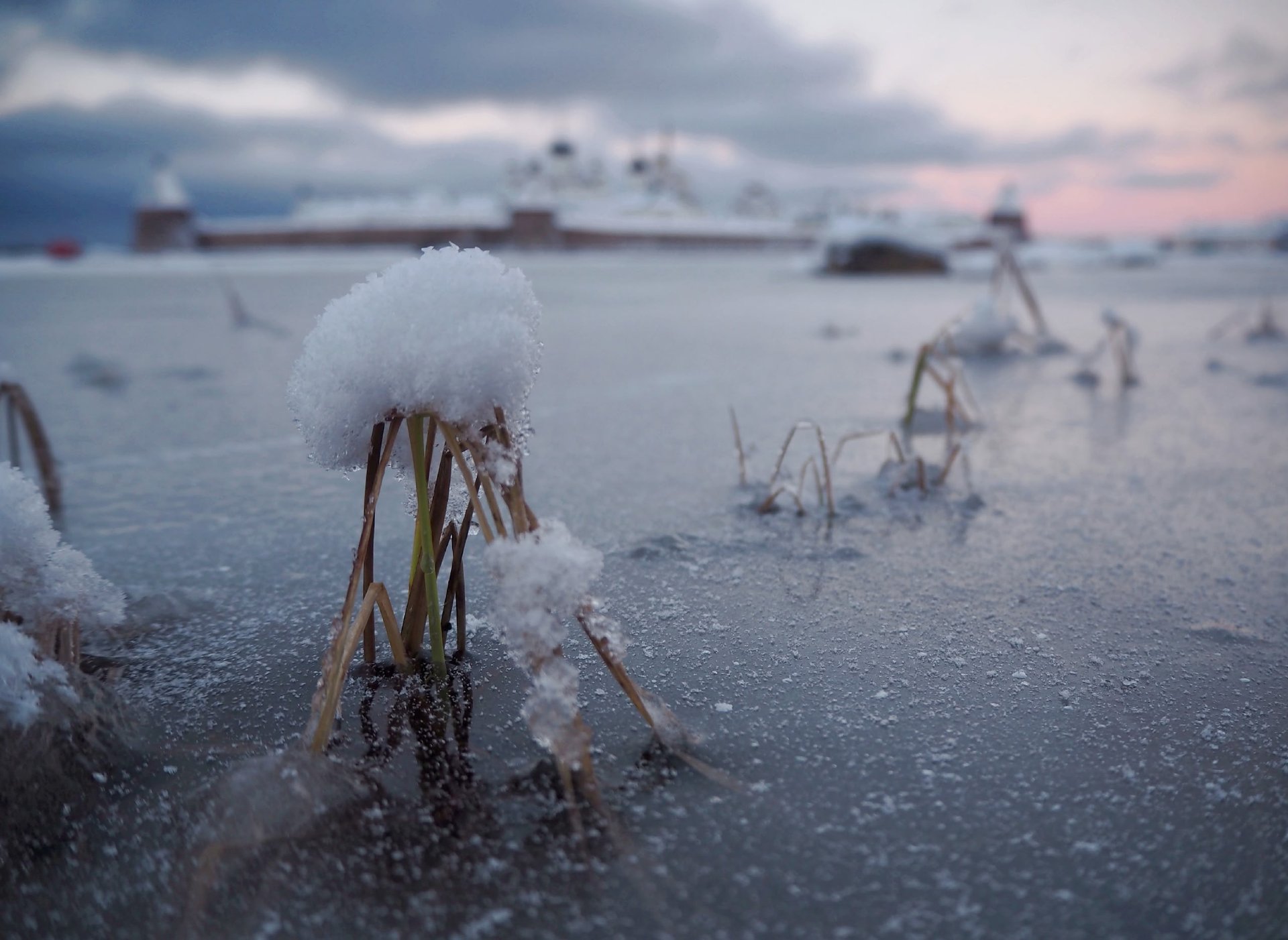 Декабрь. Молчаливые пейзажи Соловков окутаны мягким светом Декабрь. Молчаливые пейзажи Соловков окутаны мягким светом