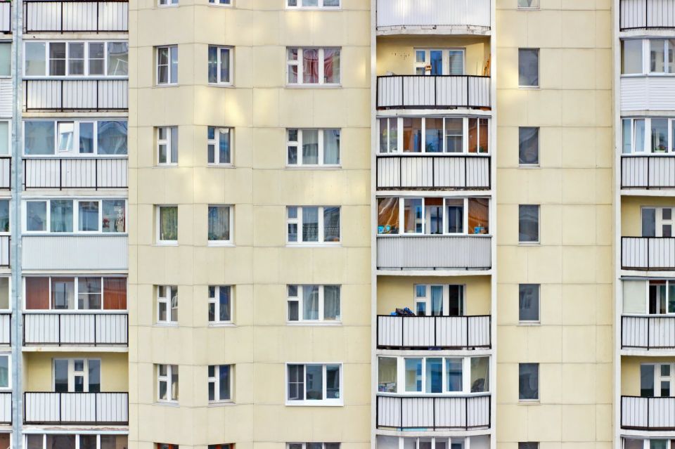 ���� 20 ������� � �������� ������ ������������ ���������� ���� �������