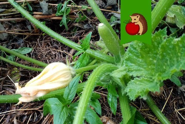 ��� ������� ������� ������� ������� ������ �������� �� ������� � �������� �������