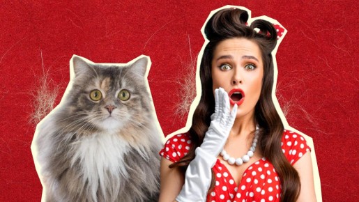 � ������ �� ������ �������� ��������: ������� � ������� �������