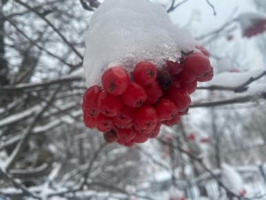 ��������� 21��������, ���� ������� �������������!