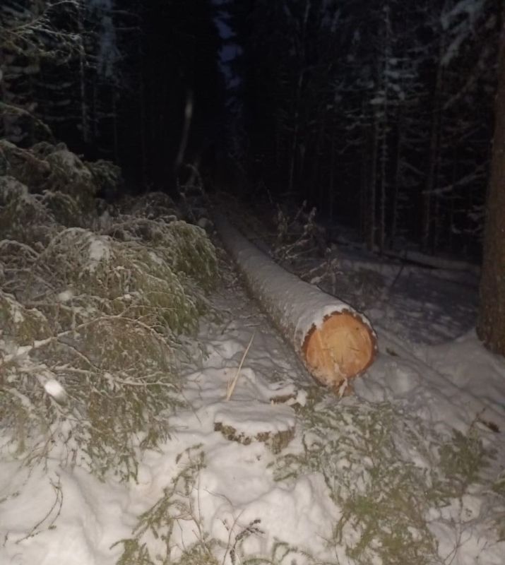 � ���������� ������ ���������� ��������� ���� �� ����� ������ �������� ������ ��� ����� ����