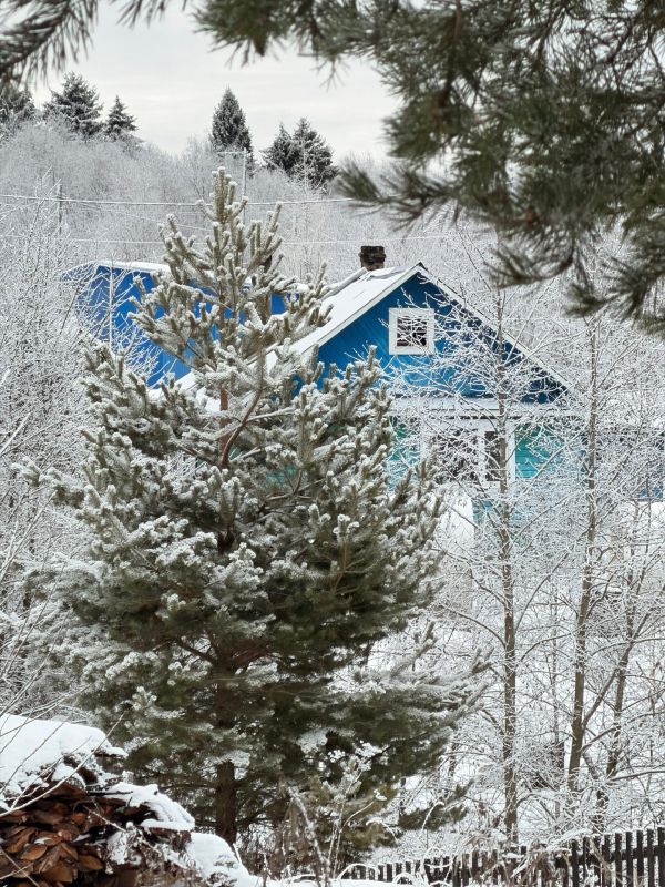 Сказочная зима в Вельском районе