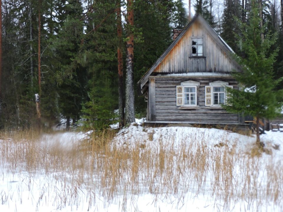 ������ ���� � ���������. ���������� ����� ������������