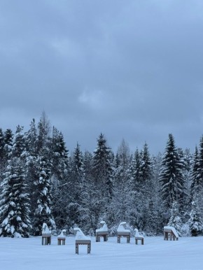 ��� ������� ��������� ��������� ������ ���������� ����, ��������� ��������� ���������� ����� ���������