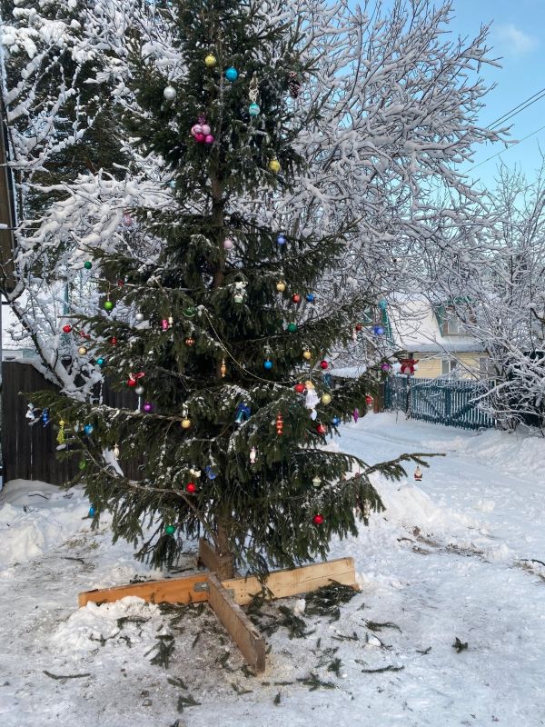 Пушистую зелёную красавицу установили и нарядили товарищи СТ «Тайга»