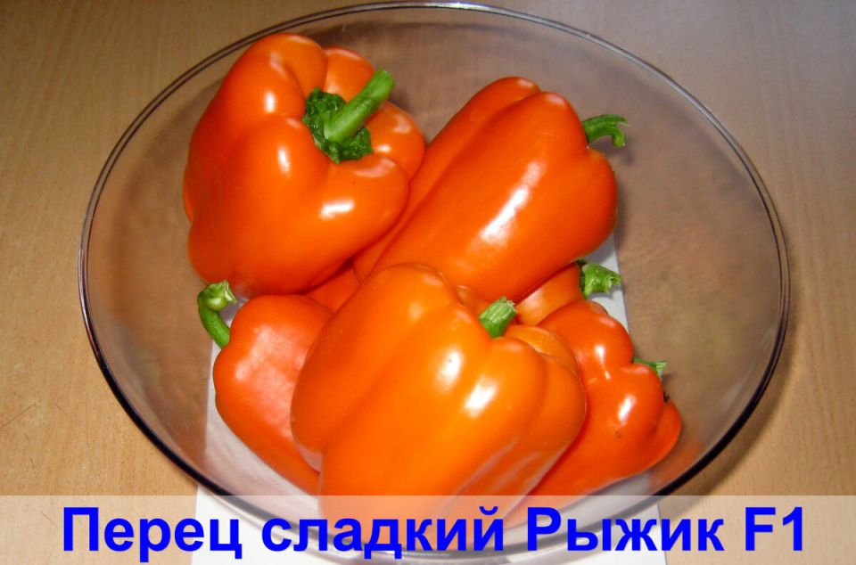 Сладкий сюрприз для гурманов: перец 'Рыжик' завоевывает сердца