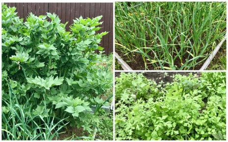 ��������� ������: ��� ���������� ������ ��� ������� ����� � ������