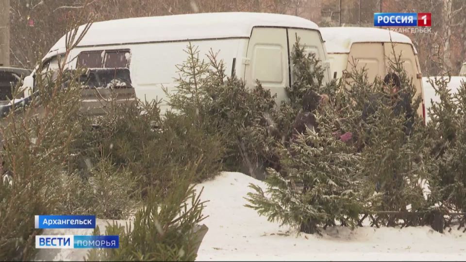 ������� � ���, ��� ������ � ���������� ����� ����� ������� ����� ������� ������, �� ������������� ����������������