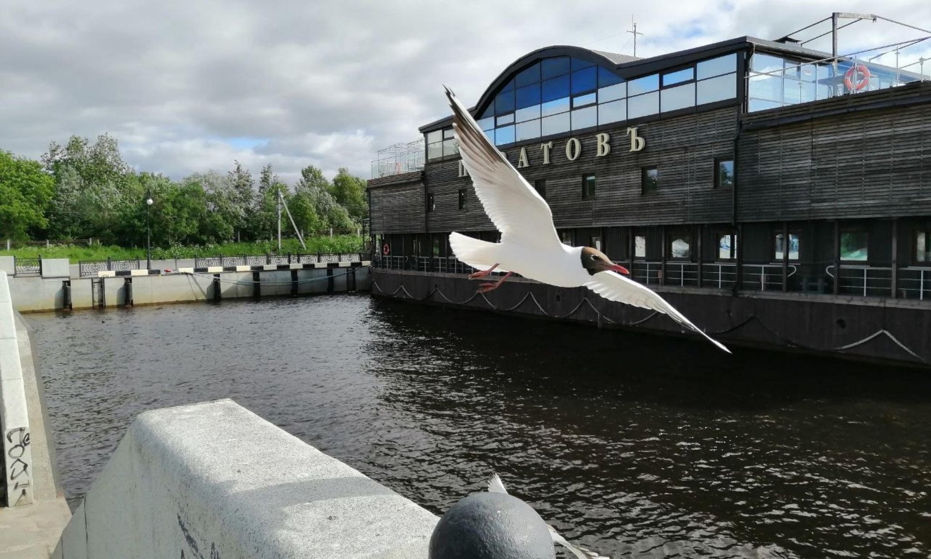 Какие новости «Региона 29» привлекли внимание читателей на уходящей неделе? Вот топ новостей: Какие новости «Региона 29» привлекли внимание читателей на уходящей неделе? Вот топ новостей: