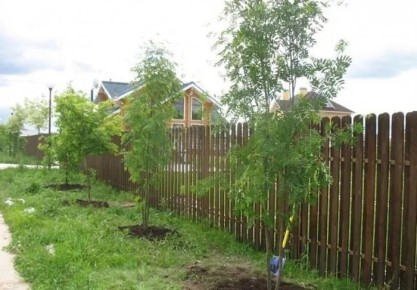 ��� ������, ���� ����� ������� ������� ������� ������ � ����� ����������?