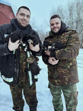 ��������� �� ����������� ������� ������������� ������