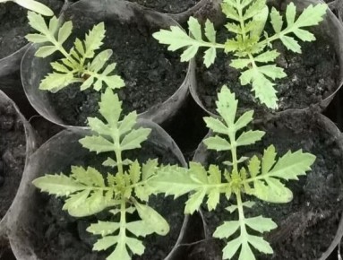 �� �������� ����: ����� ����� ����� ���������� � ����� ������