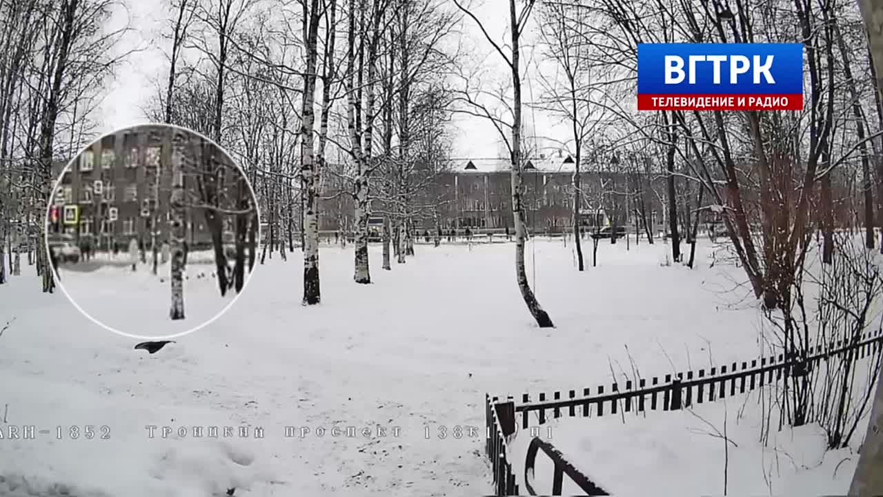 Момент ДТП на Троицком проспекте, в котором сбили троих пешеходов, попал на видео