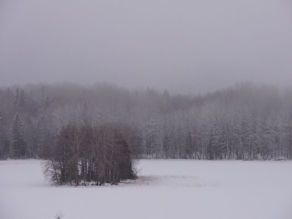 ��������� ����������� ������ ��� � ��������� ����� ������������