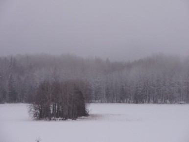 ��������� ����������� ������ ��� � ��������� ����� ������������