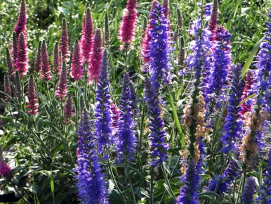 ����������� ������: �������� � ������� � ������ � ����� �������