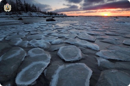 ��������� ��������� ������� ���� 2025 ���� ����������� ������ ������ ��������