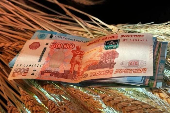 Четыре способа увеличить фиксированную пенсию в России