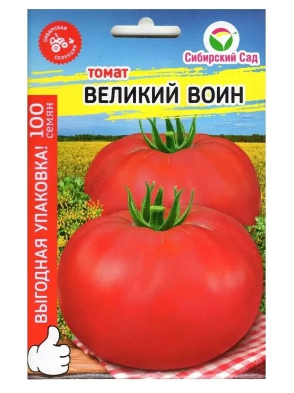 ����� ������� ����: ������� ��������� ������ ���������� ������