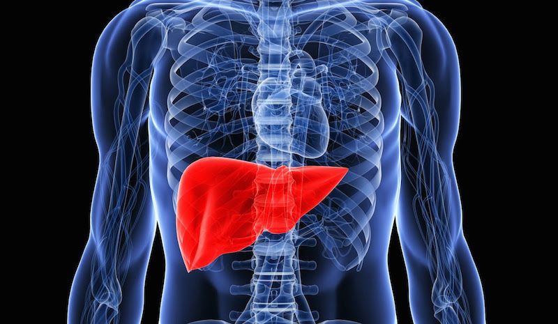 Как улучшить здоровье печени с помощью простых изменений в рационе: 7 продуктов на заметку